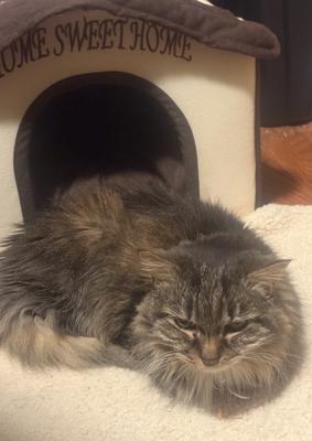 She is truly a sweetie.