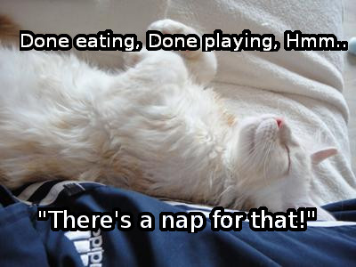 There's a Nap For That!