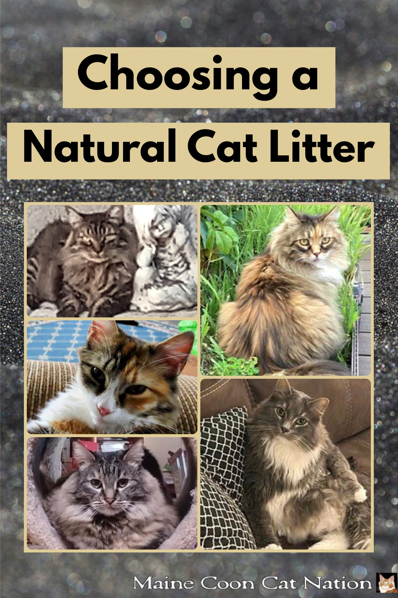 Natural Cat Litter