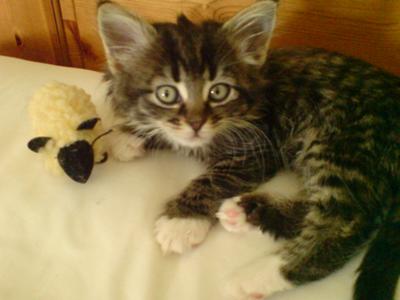 Noushka