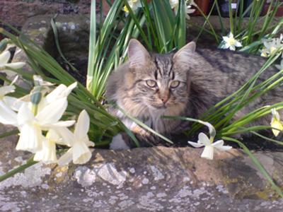 Noushka
