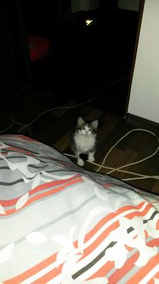 Oliver