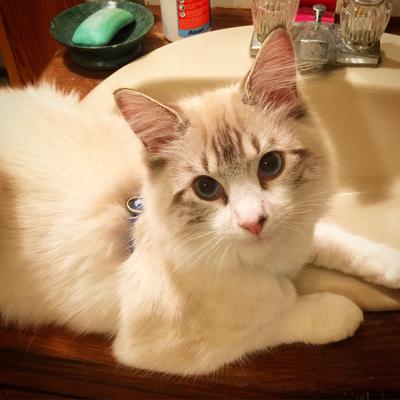 Oliver