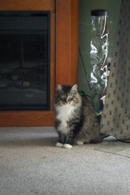 Oliver