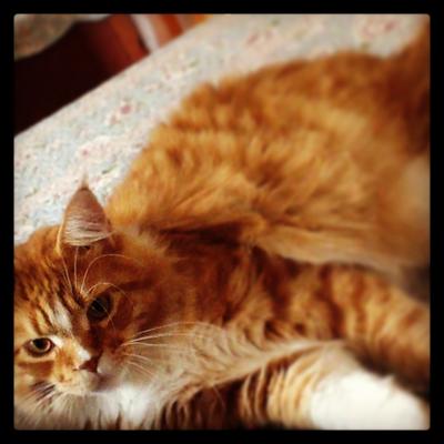 Oliver