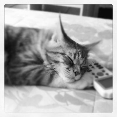Oliver