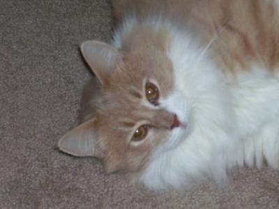 Oliver