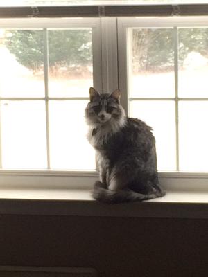 Oliver