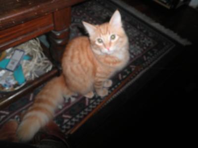 Onslow