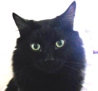 Onyx