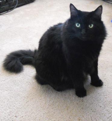Onyx