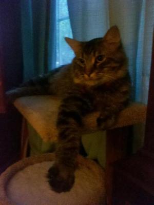 Otis