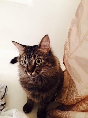 Miss Pammy