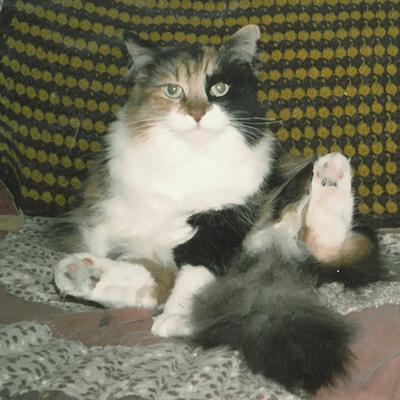 Patches
