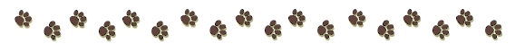 Pawprints pawprints
