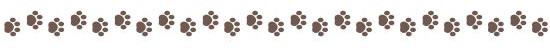 Pawprints row of brown pawprints