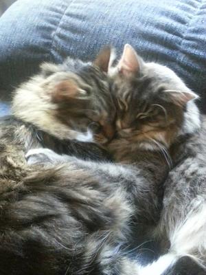 Payton and Bella