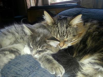 Payton and Bella