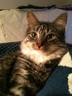 Peanut