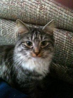 Peanut