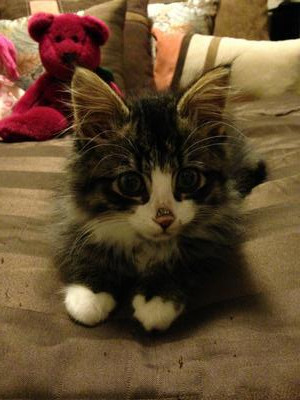 Peanut
