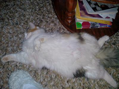 Pebbles