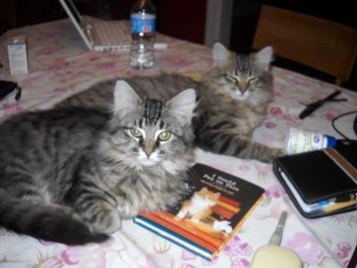 Peg and Josie