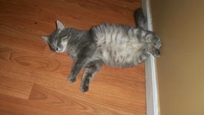 Pepper