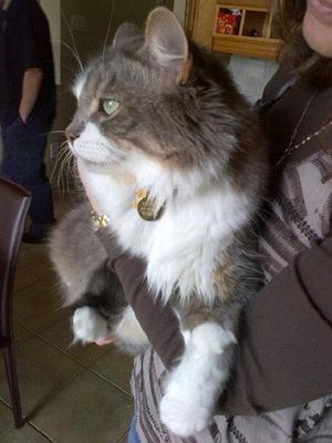Prince