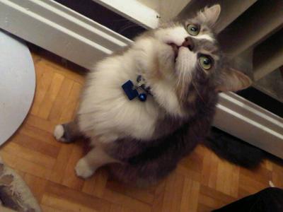 Prince