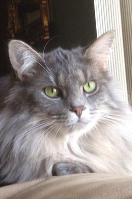 Prince