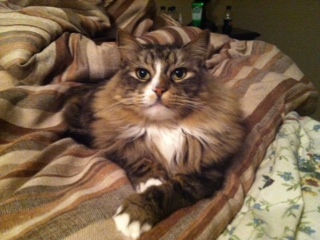 Princess