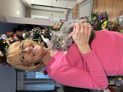 smiling woman holding small silver maine coon kitten.