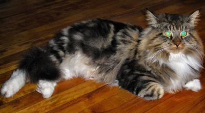 Quincy