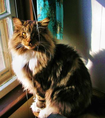 Quincy