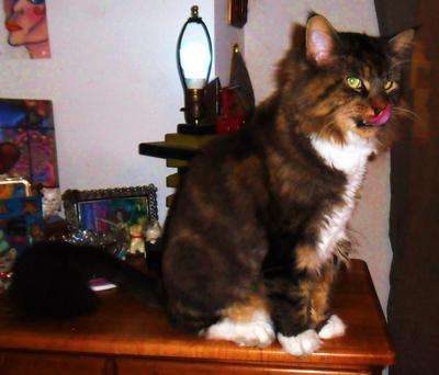 Quincy