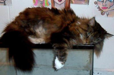 Quincy
