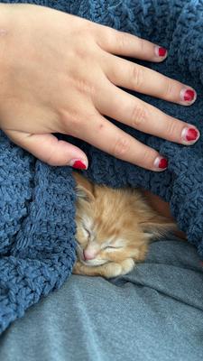 Her paw is comparison to her head!!