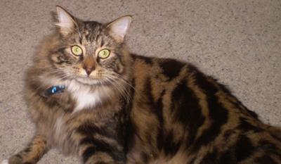 handsome lad Reuben