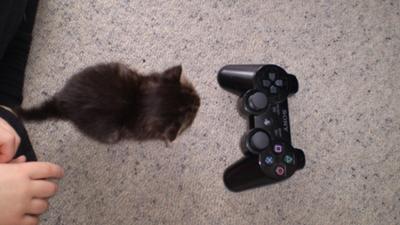 look how tiny Reuben was