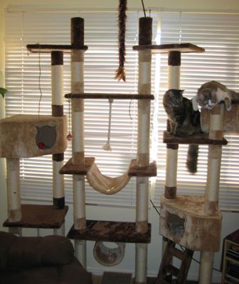 Rome Cat Tree large cat tree with multiple levels