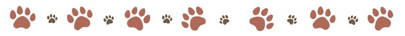 Pawprints row of pawprints