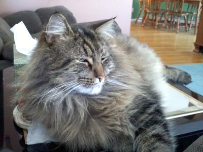 Ruben