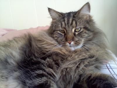 Ruben
