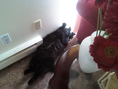 Rupert