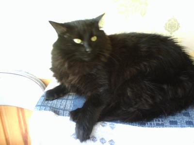 Rupert