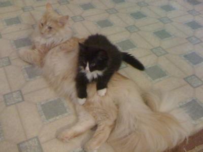 Rusty & Tommy Lee