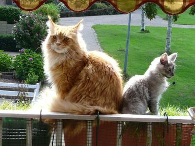 Saimar & Lizzy