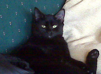 Salem