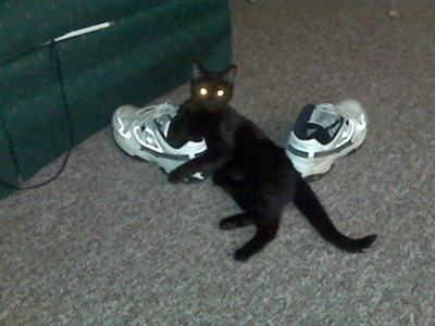 Salem
